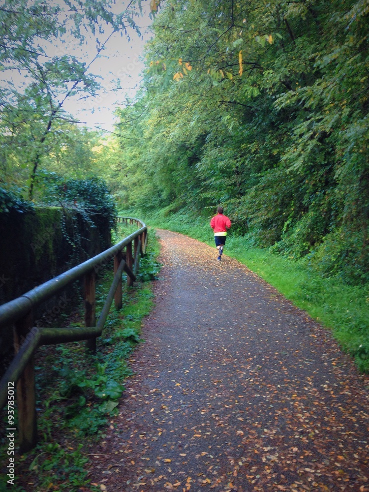 Obraz premium runner in the park