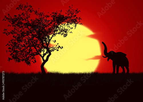 Sol, cielo rojo, elefante, África, ilustración