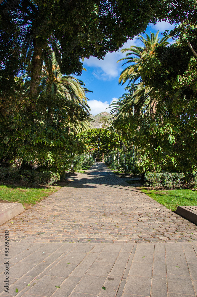 Fototapeta premium Parkweg von Palmen gesäumt
