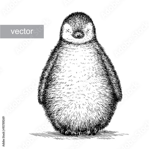 engrave penguin illustration