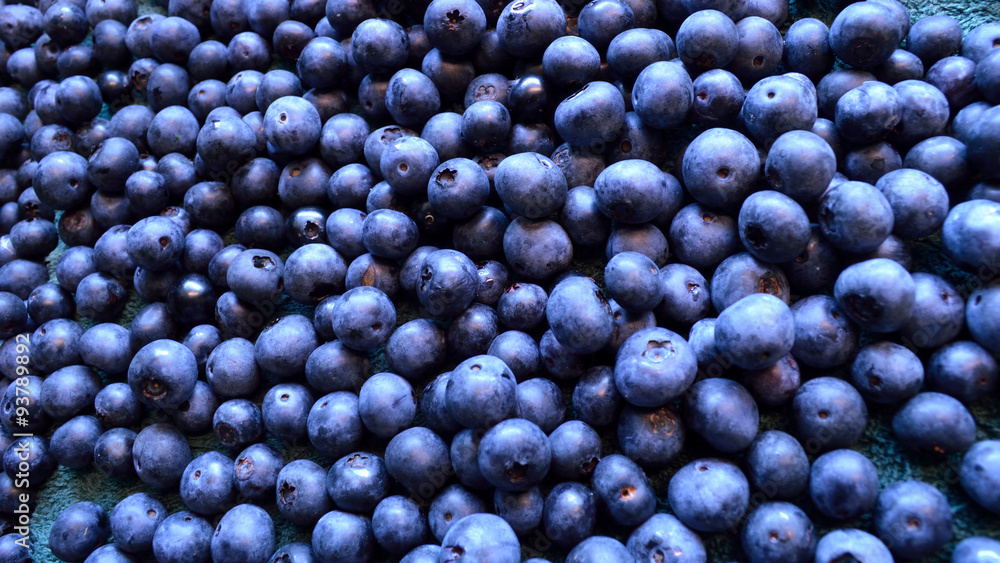 Panorama organic blueberry background Panorama organic blueberry background