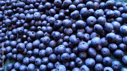 Panorama organic blueberry background