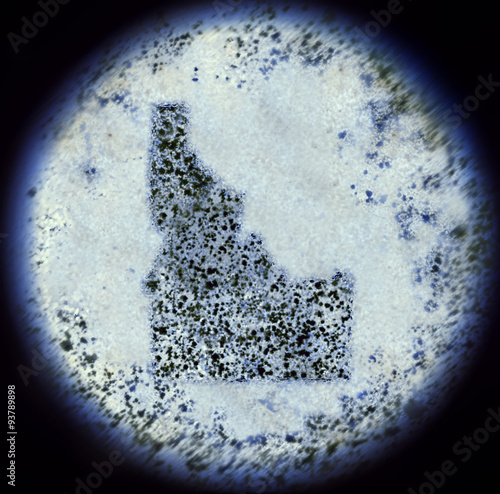 Bacterias in the shape of Idaho viewed through a microscope.(ser photo