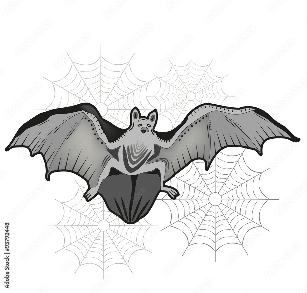 vector illustration of a grey bat vector illustration of a grey bat