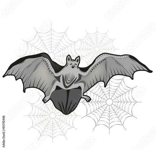 vector illustration of a grey bat