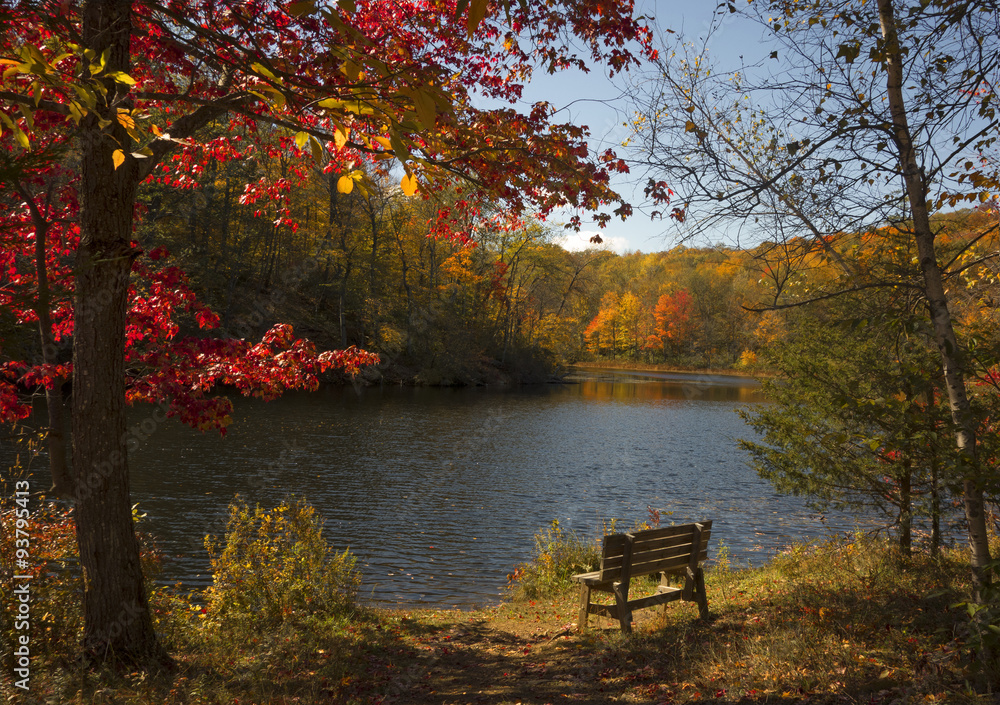 Scenic Autumn Lake