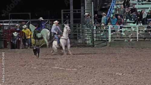 Night rodeo steer roping wrestling 4K 300