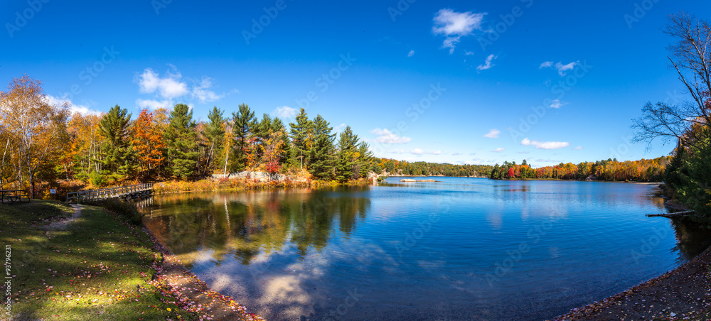 View of colorful trees during Autumn season at Killarney Provincial Park Canada View of colorful trees during Autumn season at Killarney Provincial Park Canada