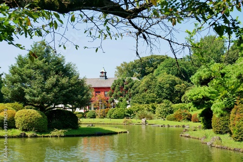 小石川植物園 photo