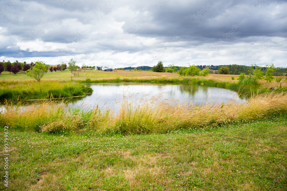 Fototapeta premium Country Fish Pond