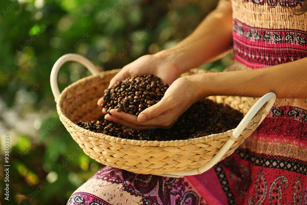 Female hands hold coffee beans in the basket