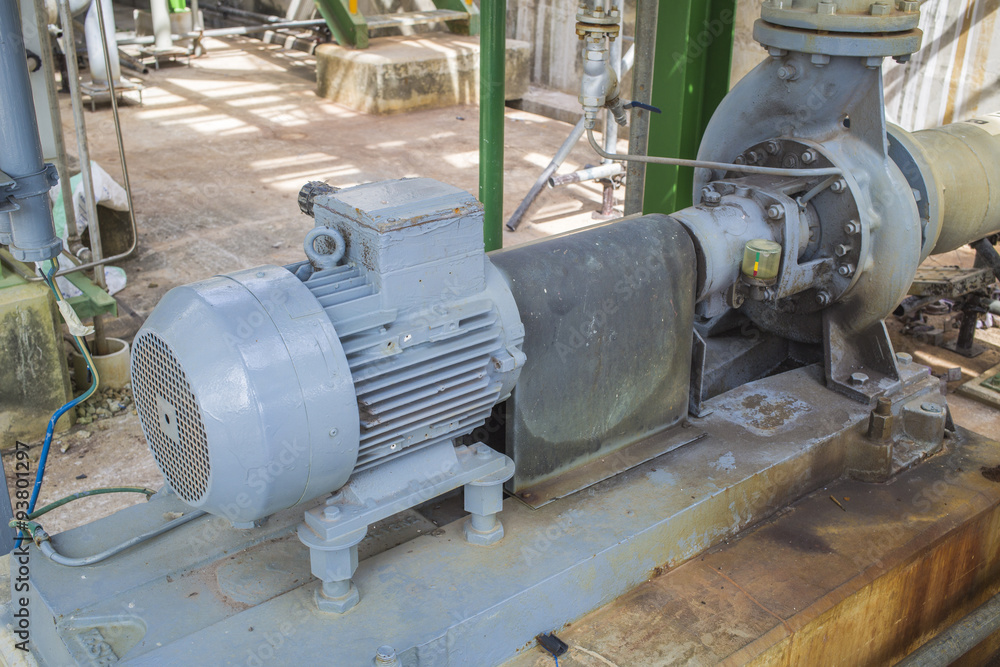 Induction motor with Centrifugal pumps Induction motor with Centrifugal pumps