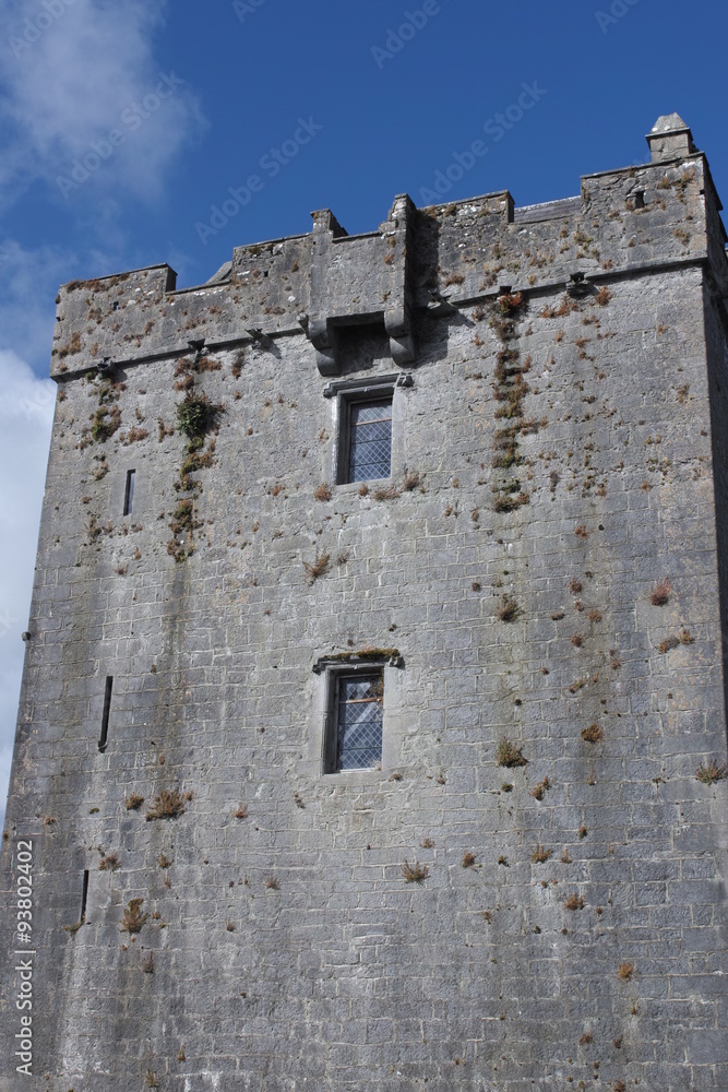 Dunguaire Castle 6