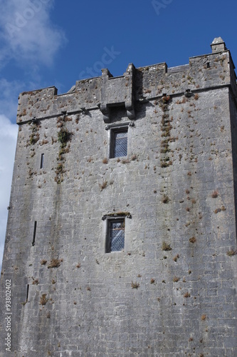 Dunguaire Castle 6