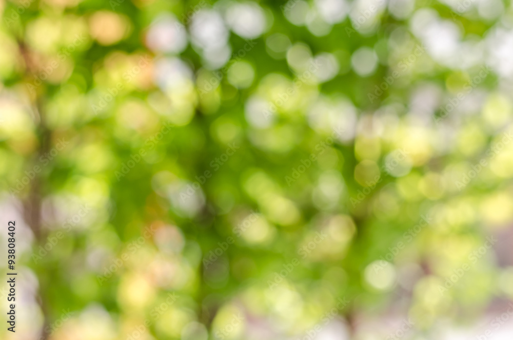 Fototapeta premium atmosphere green and yellow blur background with bokeh in noon