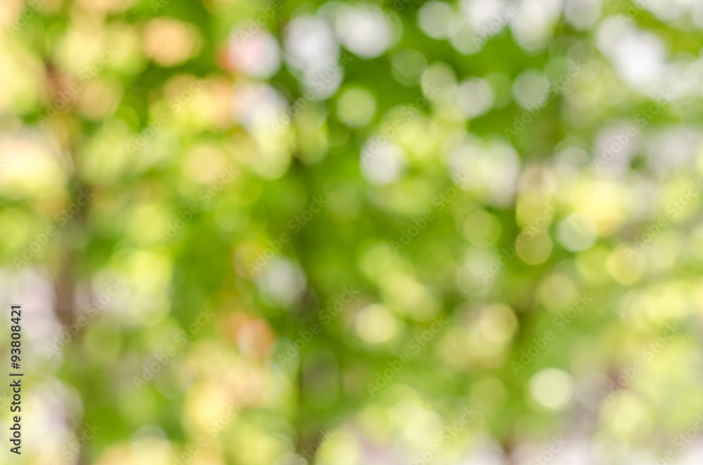 Obraz premium atmosphere green and yellow blur background with bokeh in noon