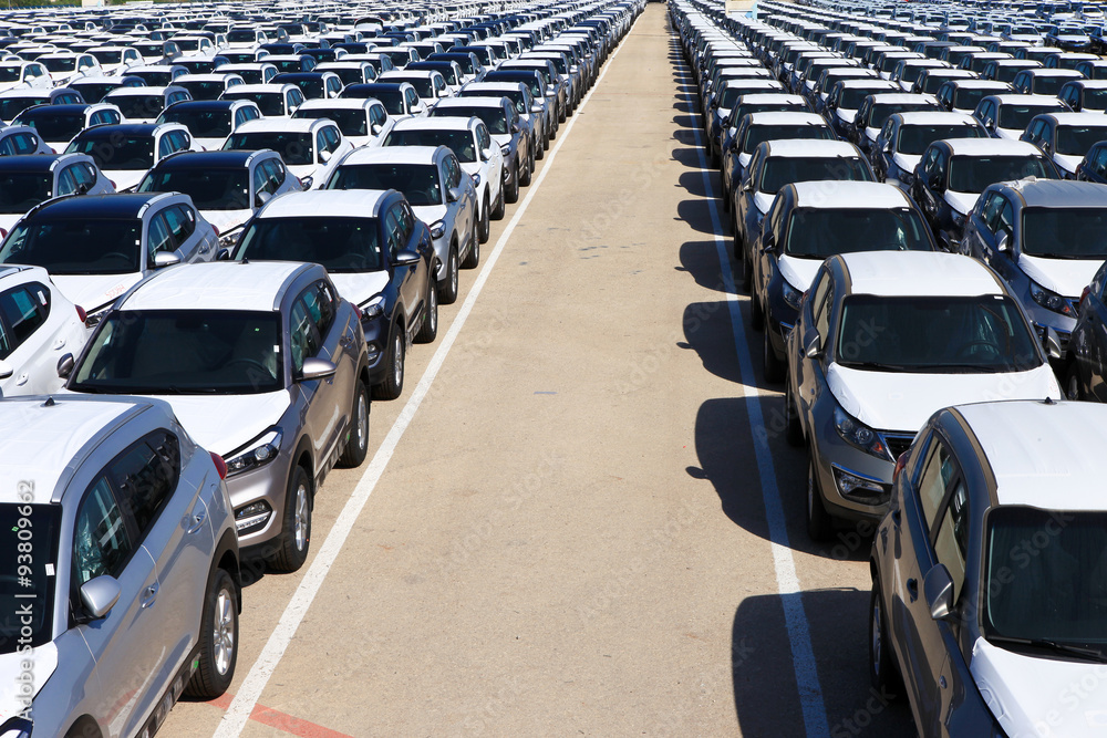Fototapeta premium Rows of new cars covered in protective white sheet