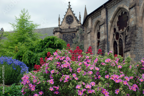Flowers and cathedral in the background