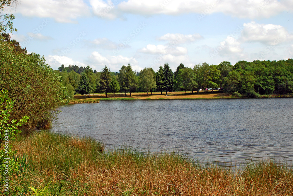 Fototapeta premium Lake and forest landscape