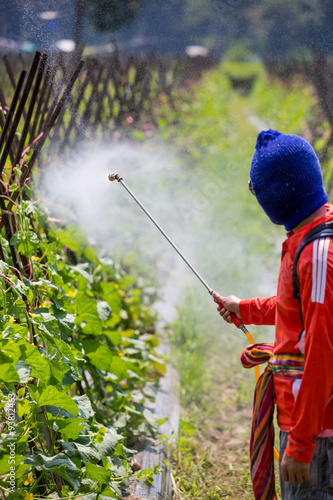 spraying pesticide