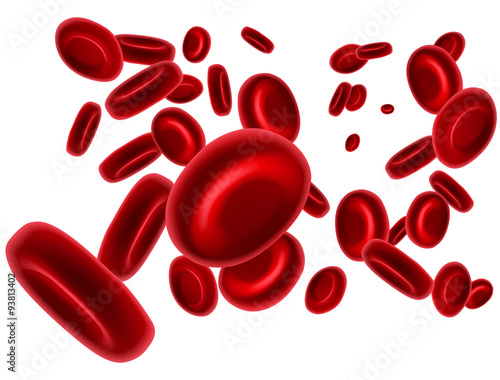 Red Blood Cells