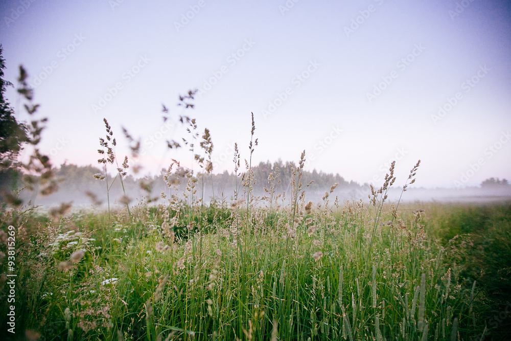 Beautiful thick fog sunrise Autumn Fall landscape over fields wi Beautiful thick fog sunrise Autumn Fall landscape over fields wi