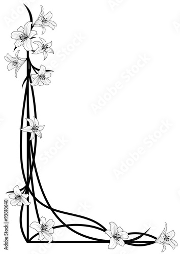 lily border