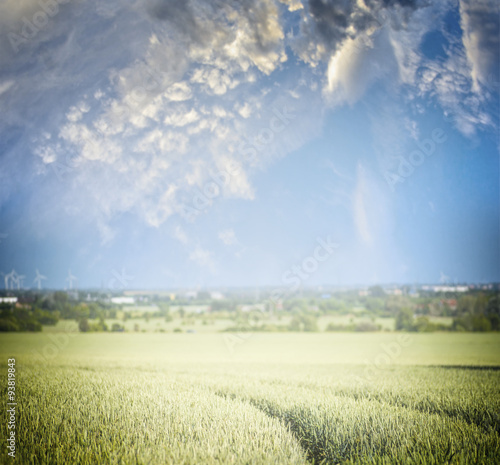 Field with tractor tracks and beautiful sky   blurred nature background