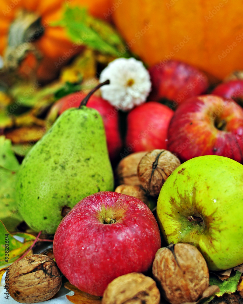 Still-life picture with autumn fruits.