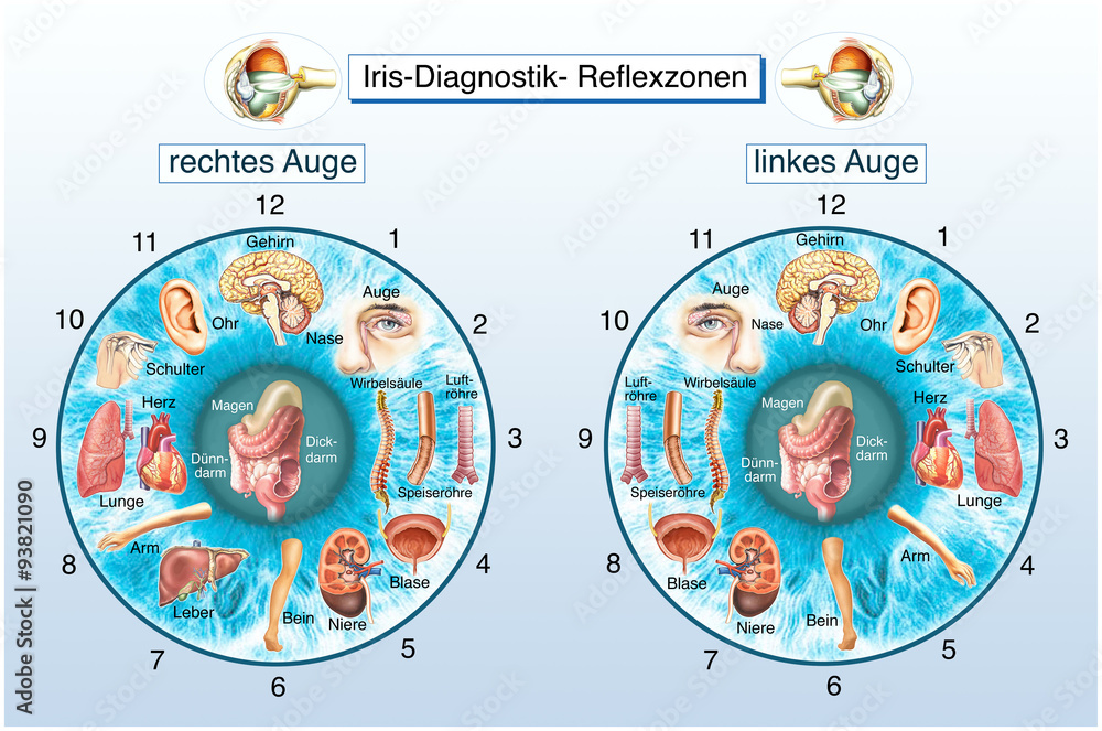 IrisDiagnostik. Krankheiten erkennen. Augendiagnose ilustración de
