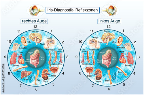 Iris-Diagnostik. Krankheiten erkennen. Augendiagnose photo