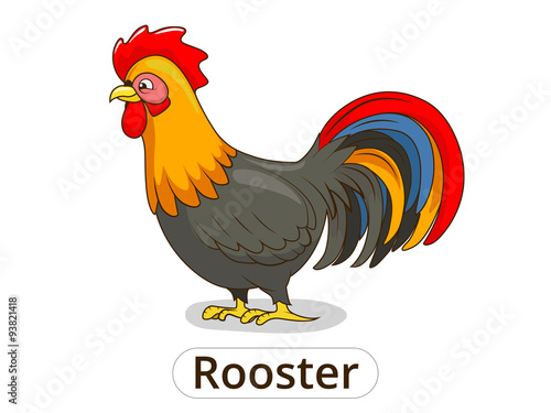 Rooster animal cartoon illustration for children