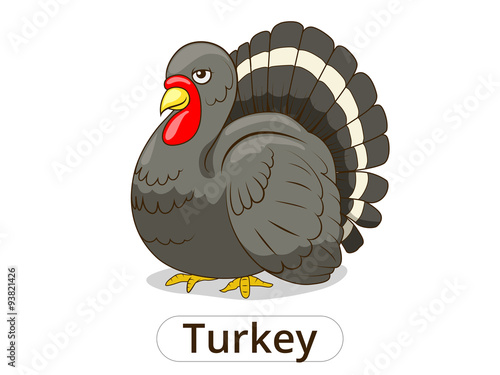 Turkey animal cartoon illustration for children