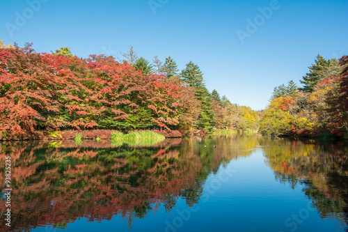 雲場池の紅葉