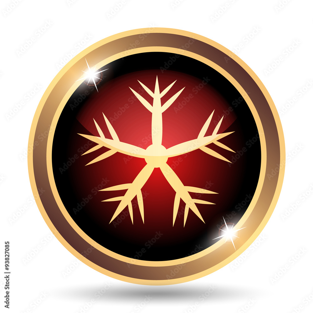 Snowflake icon Snowflake icon