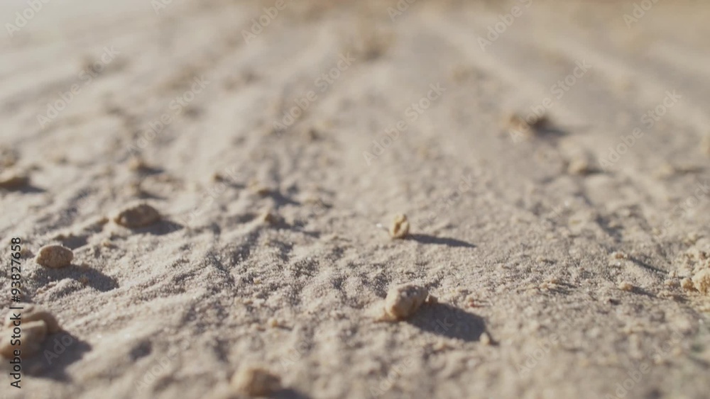 Macro of someone going alone in the desert Macro of someone going alone in the desert