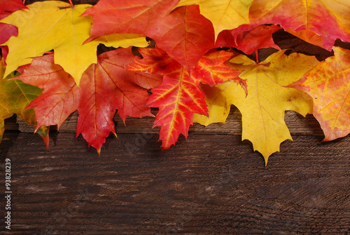 autumn leaves border on wooden background © teressa