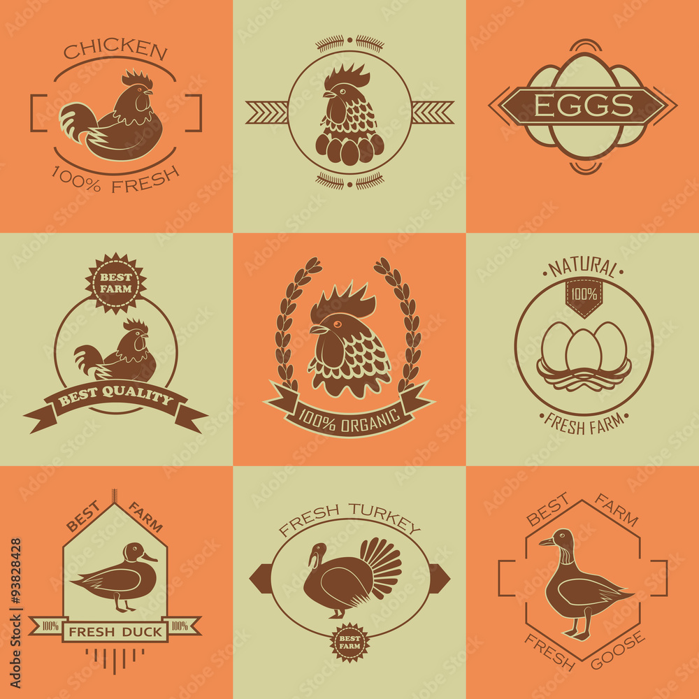 Set of poultry farm logo, emblem. Chicken, turkey, goose, duck.