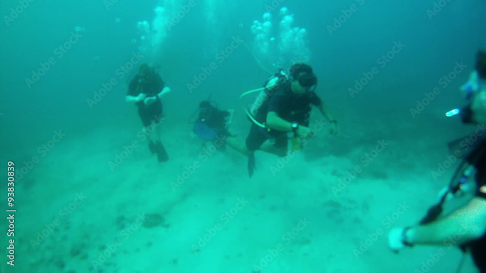 Scuba divers bottom Mexico Pacific Ocean HD 0016 Scuba divers bottom Mexico Pacific Ocean HD 0016