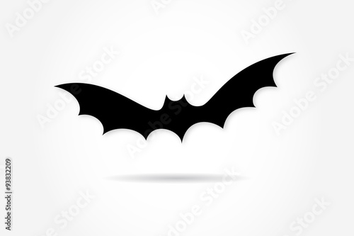 Chauve souris