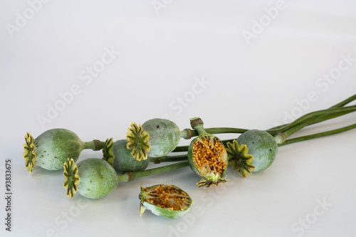 Fototapeta Naklejka Na Ścianę i Meble -  head poppy closeup