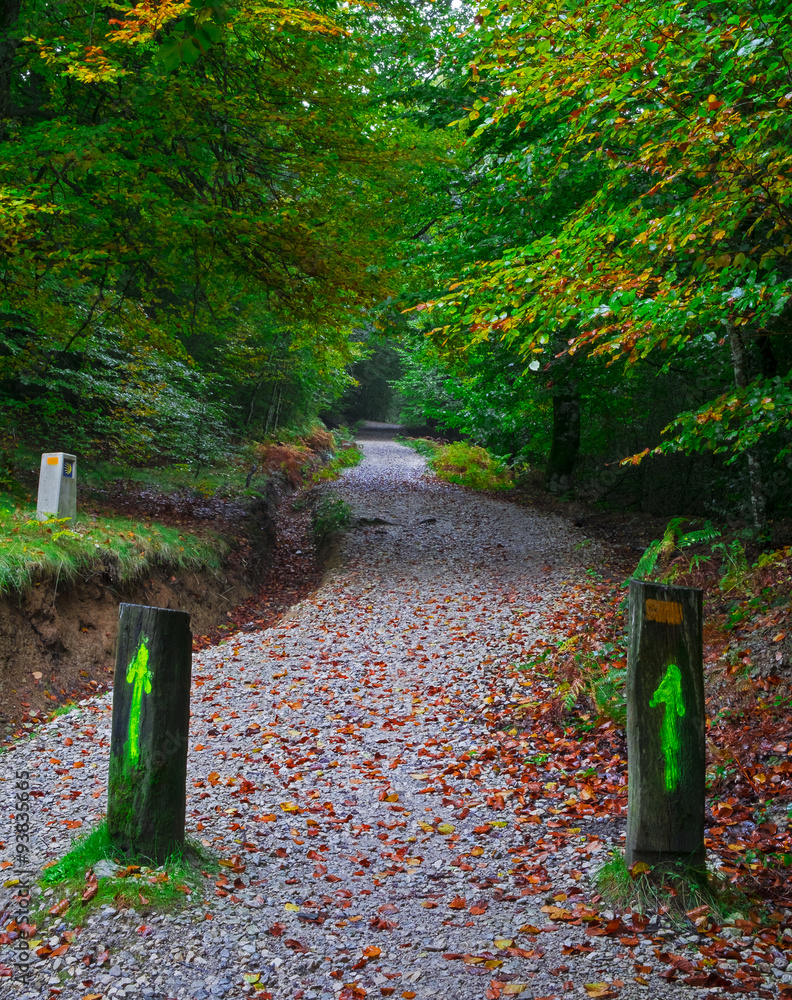 The Camino de Santiago, Way of St. James, St. James's Way, St. James's Path, St. James's Trail, Route of Santiago de Compostela,and Road to Santiago. The Camino de Santiago, Way of St. James, St. James's Way, St. James's Path, St. James's Trail, Route of Santiago de Compostela,and Road to Santiago.