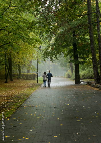 Wallpaper Mural park jesienią Torontodigital.ca