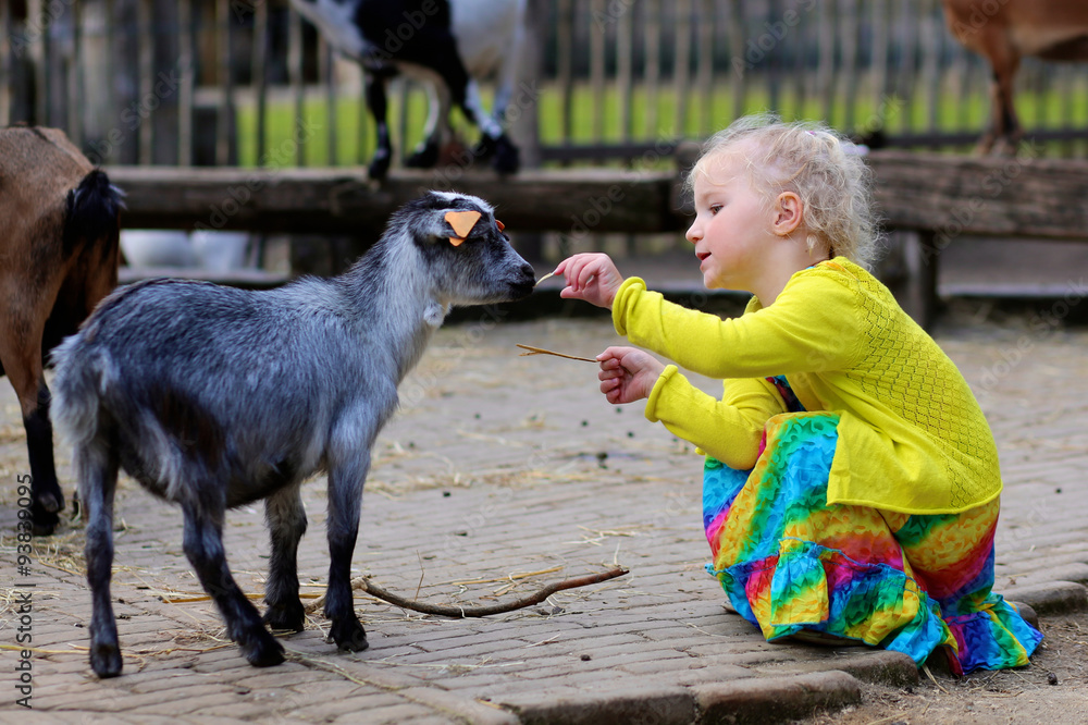 Toddler girl petting little goat in the kids farm. Cute kind child feeding  animals in the zoo. Stock Photo | Adobe Stock