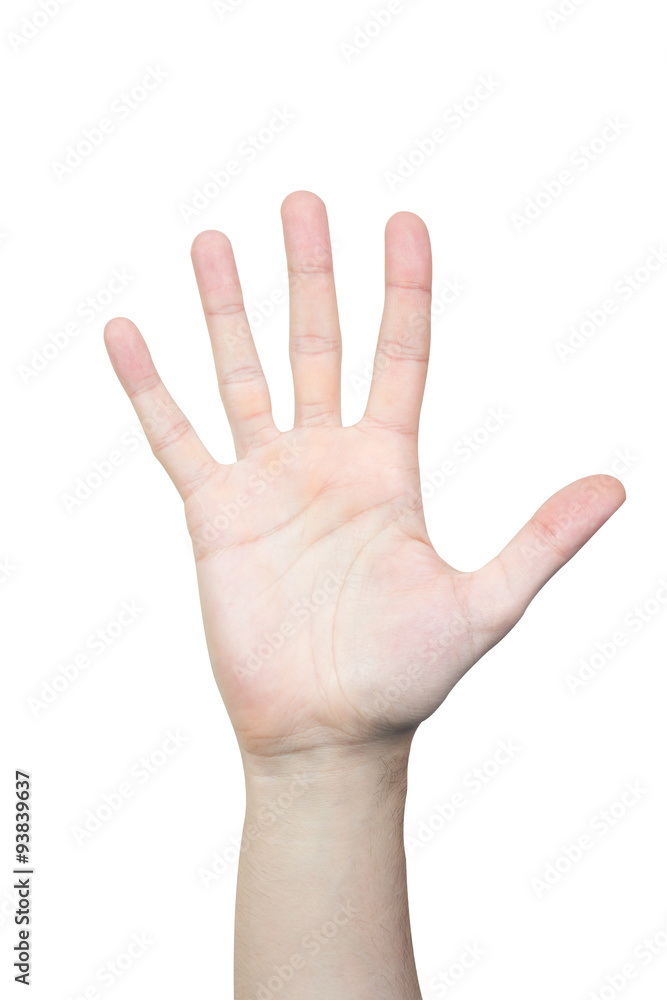 Counting man's hand isolated on white, count five Counting man's hand isolated on white, count five