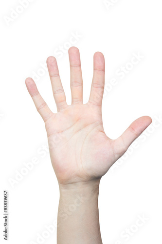 Counting man's hand isolated on white, count five
