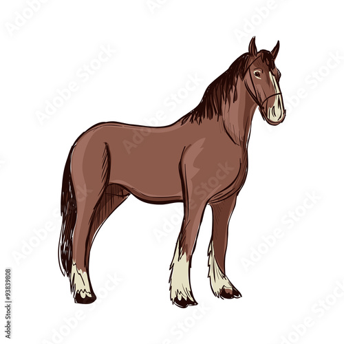 Doodle Horse