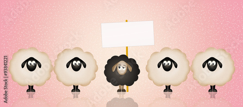 Obraz na plátně black sheep