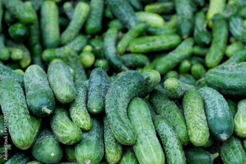 fresh cucumbers for sale