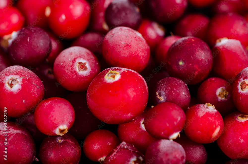 frozen cranberries on a black background frozen cranberries on a black background